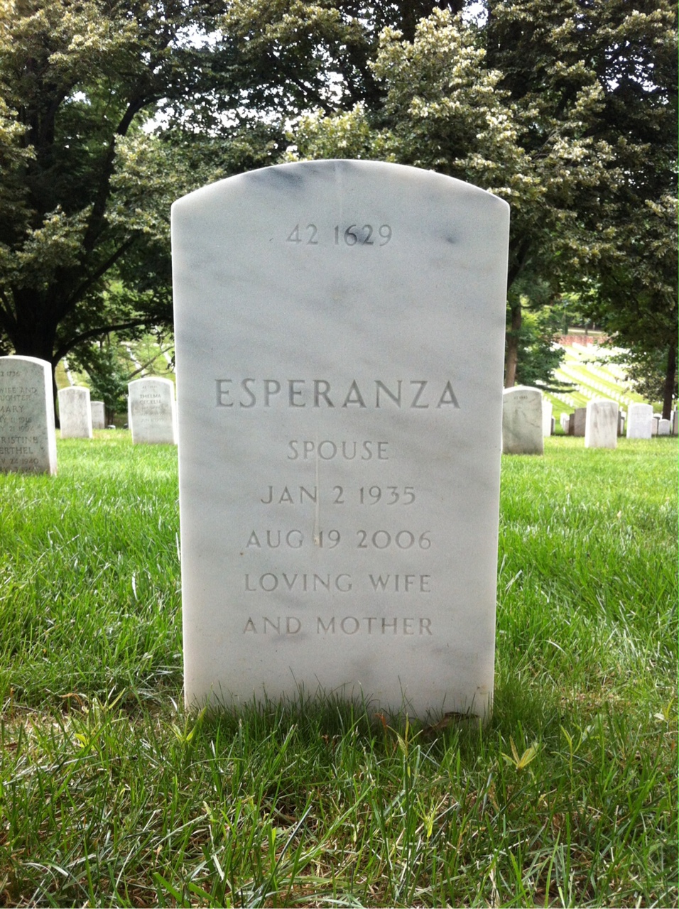 Back of headstone — Fred B Degillio