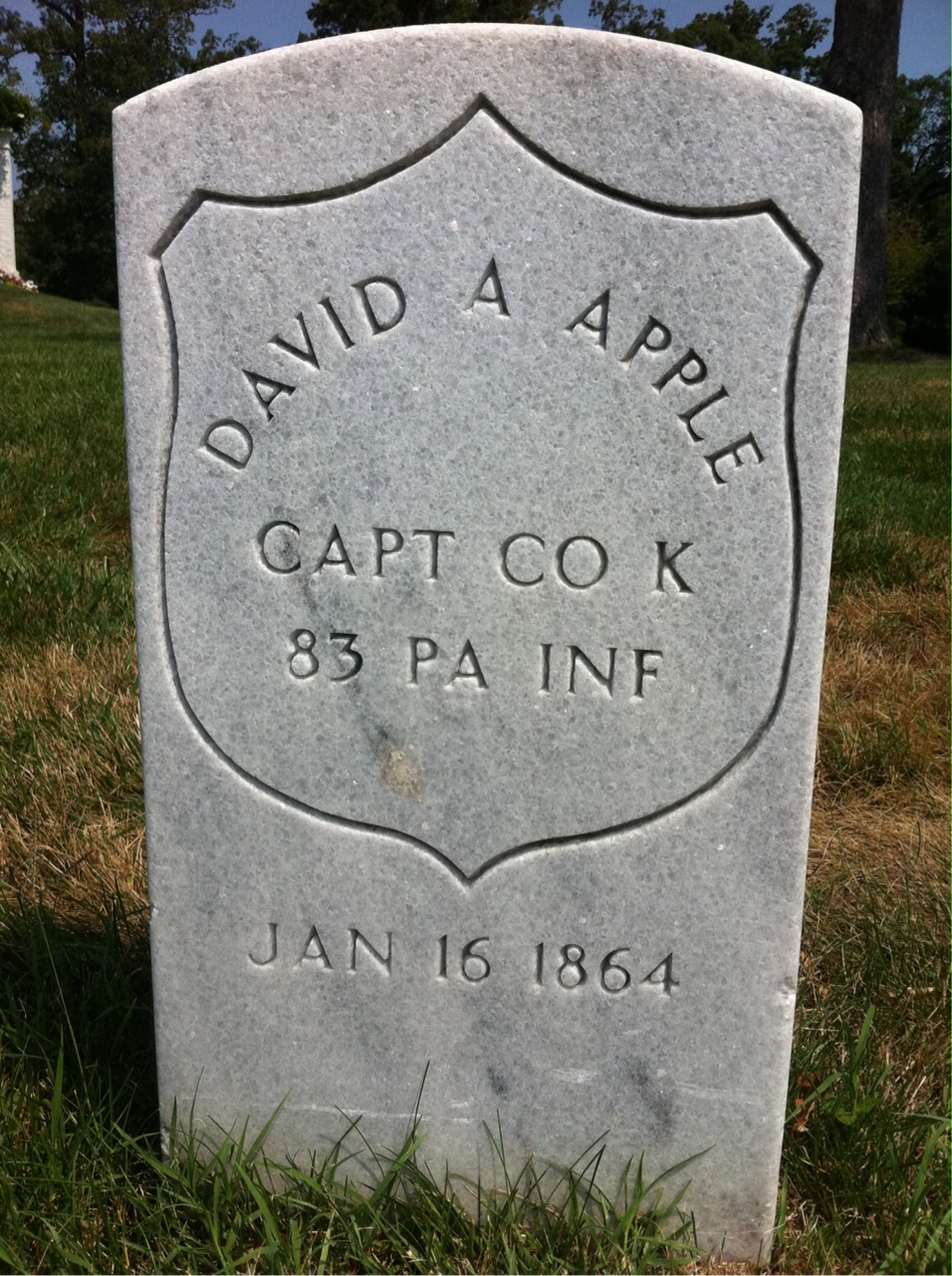 David Apple