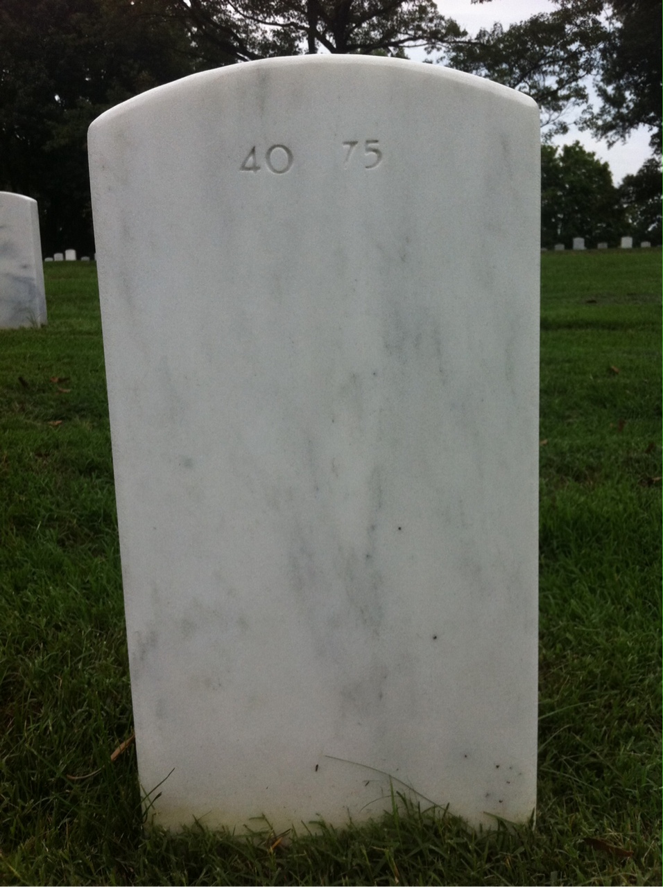 Back of headstone — David Mcgibbon