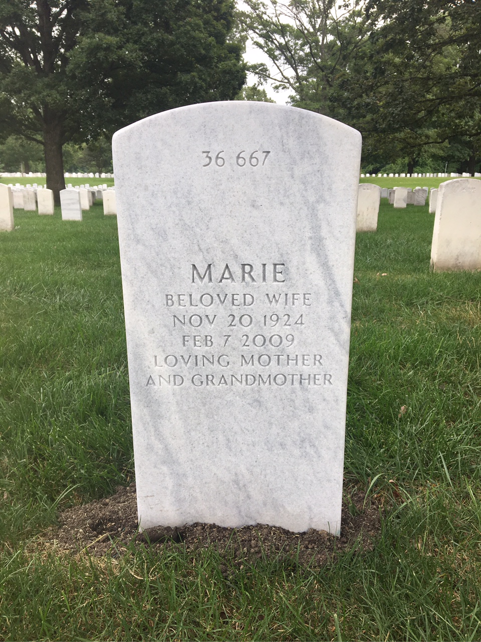 Back of headstone — Albert Degennaro