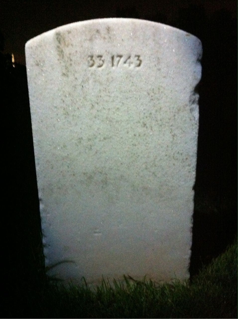 Back of headstone — Victoria Amis