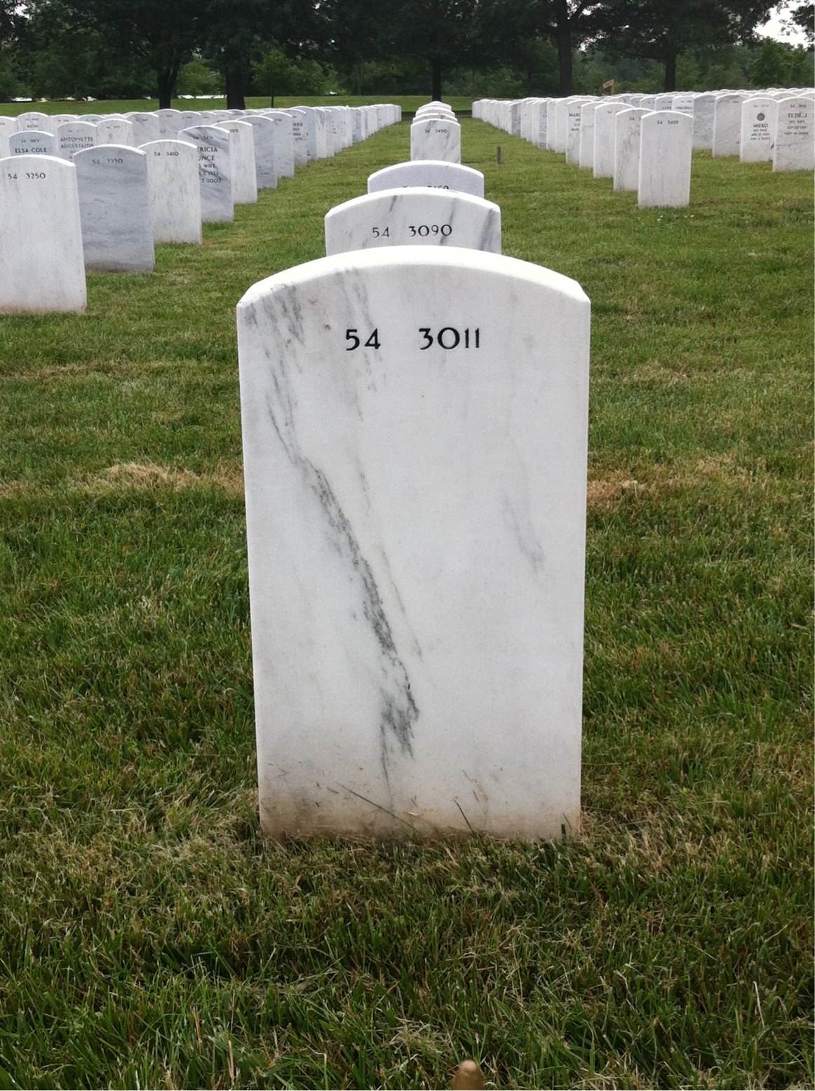 Back of headstone — Robert Nicholson