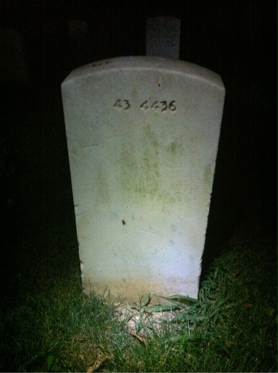 Back of headstone — Francis Braddy