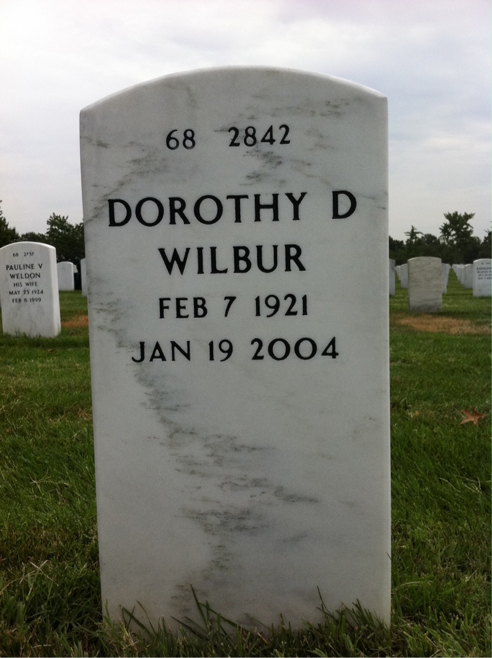 Back of headstone — Newton Wilbur