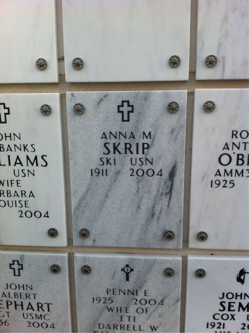 Anna Skrip