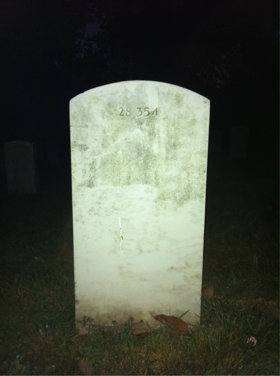 Back of headstone — Louis Banks