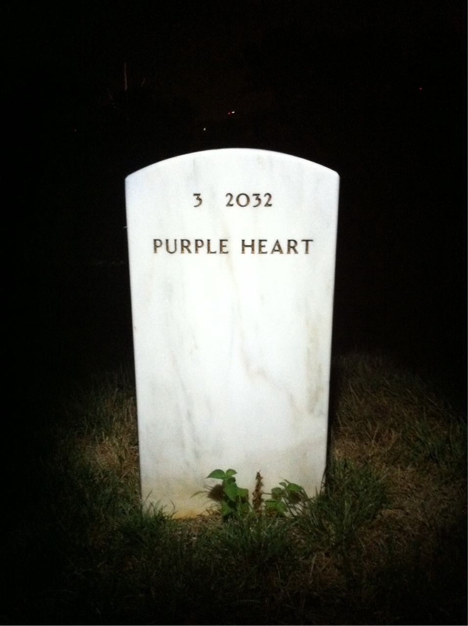 Headstone of Sherrod Skinner