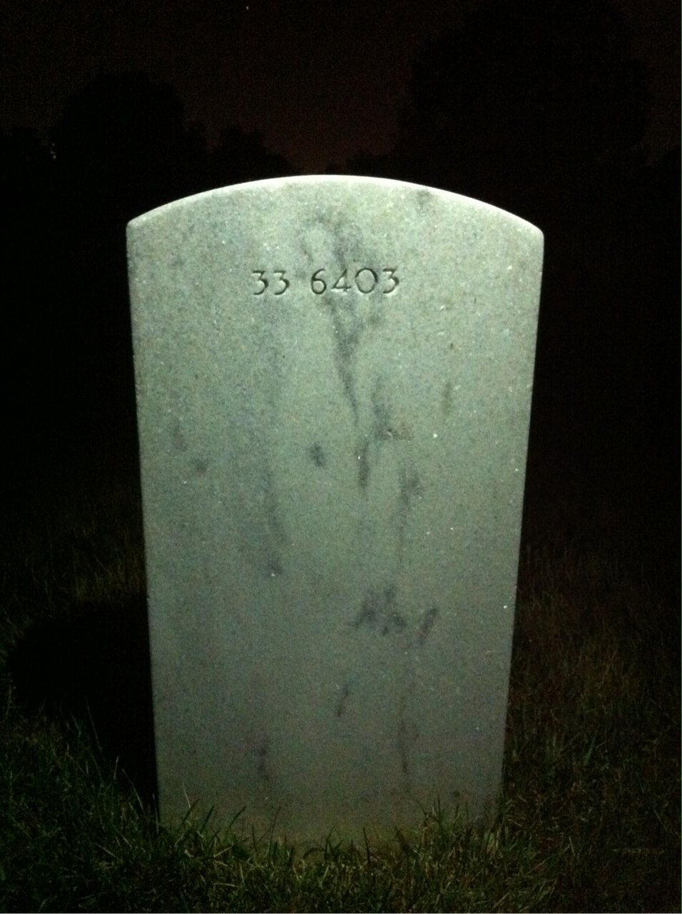 Back of headstone — Sophia Mills