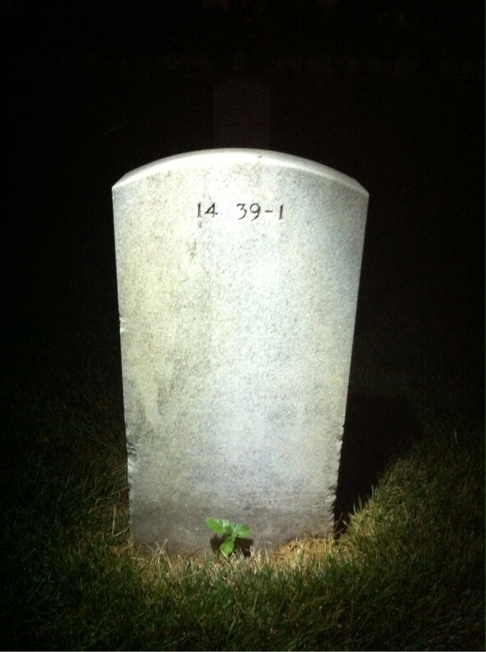 Back of headstone — George Miscannon