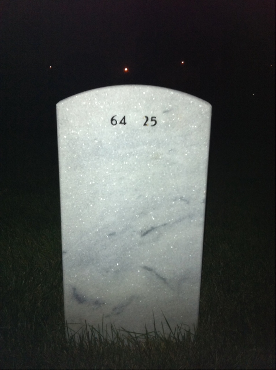 Back of headstone — Dallas Long
