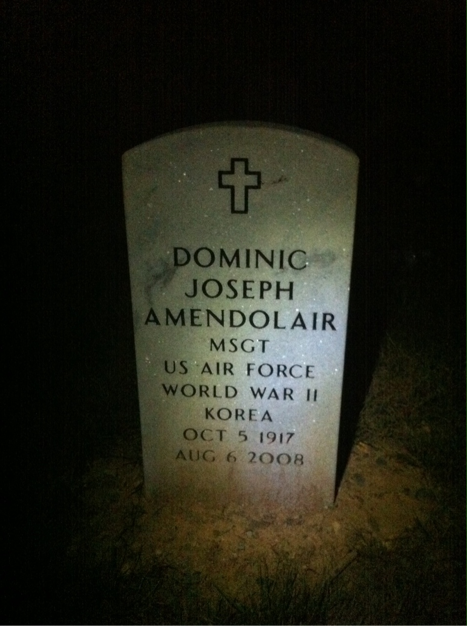 Dominic Amendolair