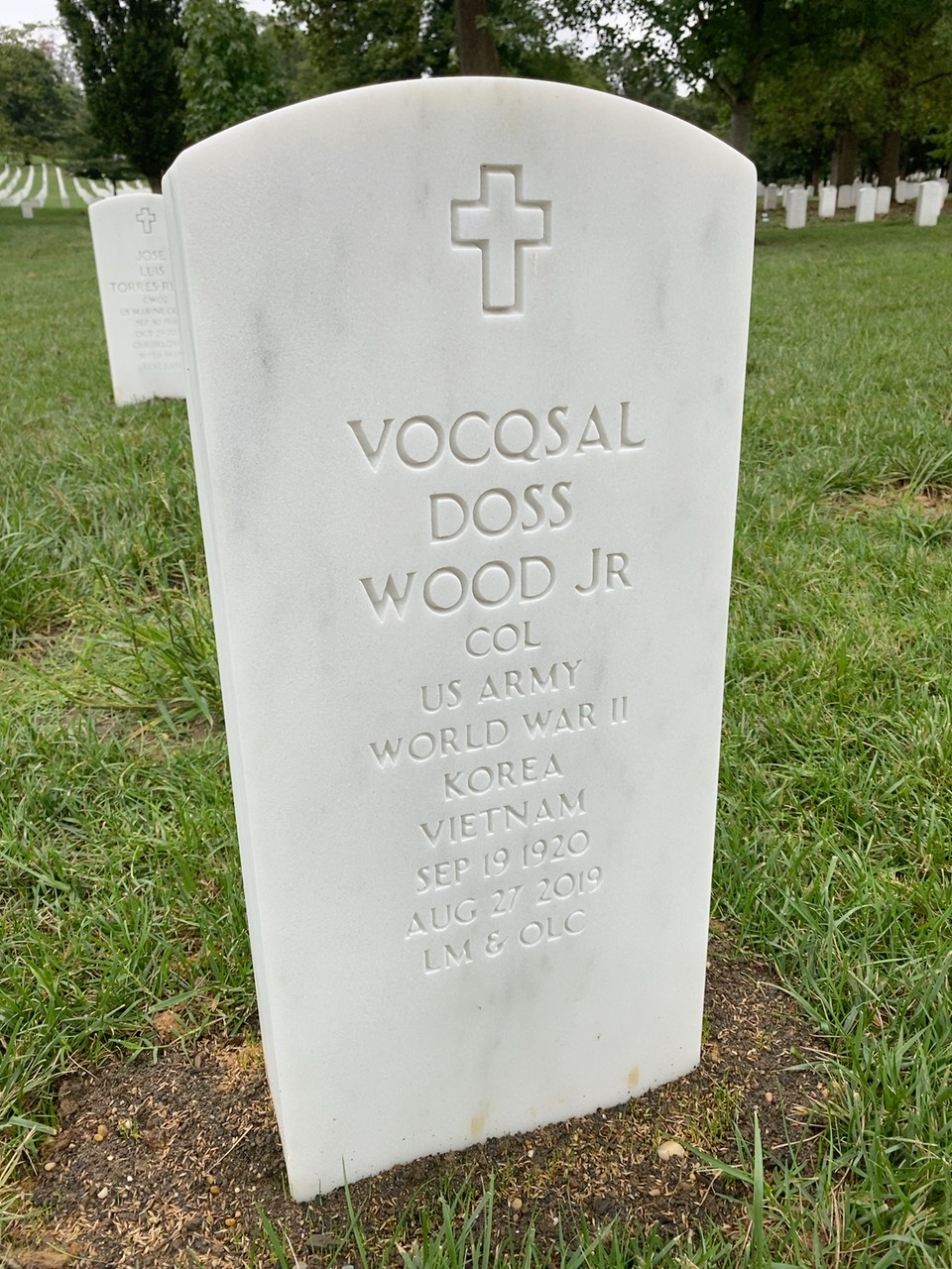 Vocqsal D Wood
