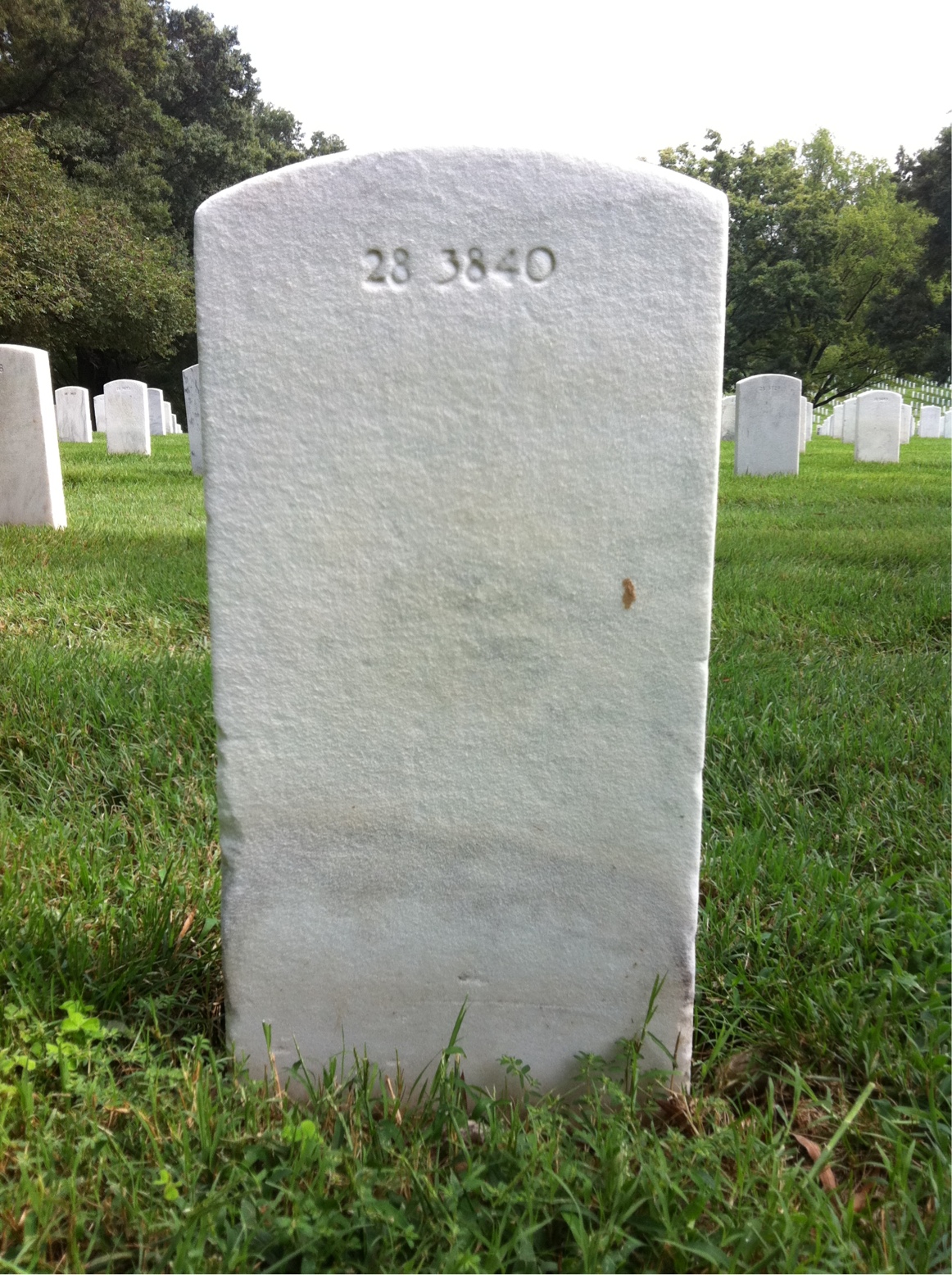 Back of headstone — Clara Abbott