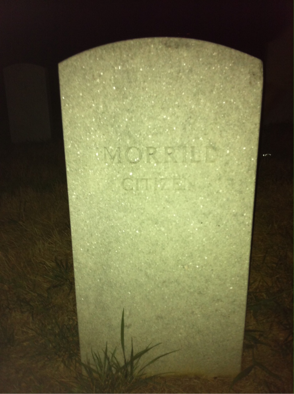 Not Captured Morrill