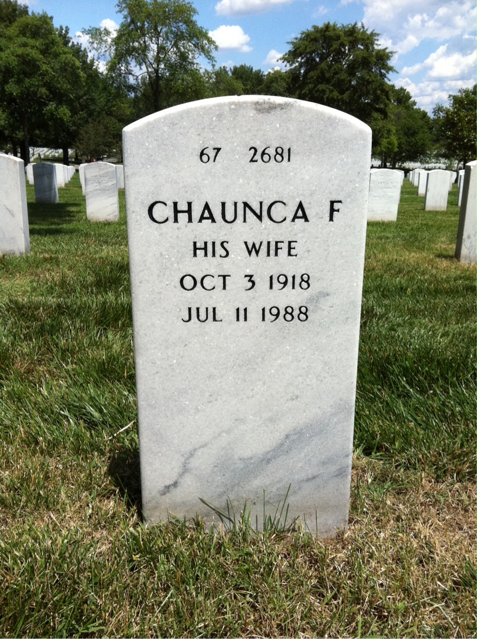 Back of headstone — Michael Brelick