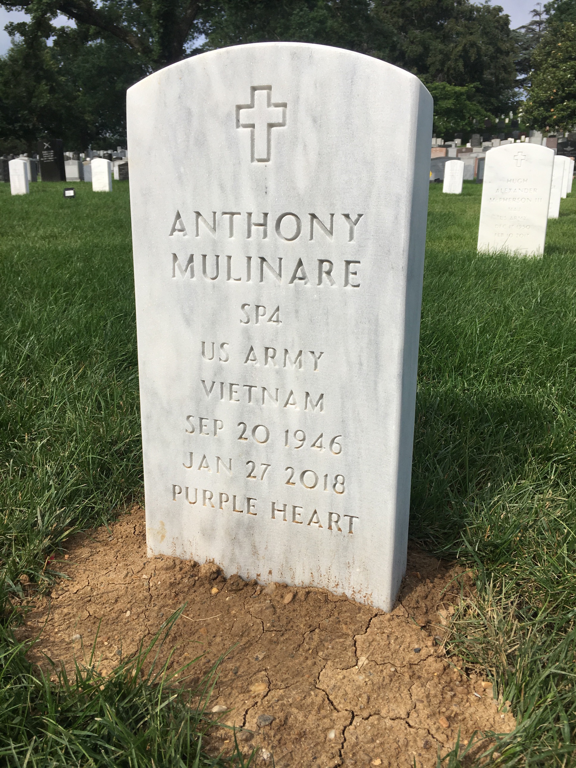 Anthony Mulinare