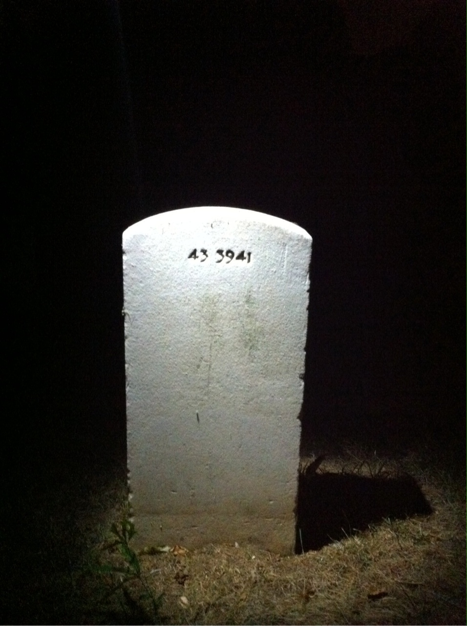 Back of headstone — William Miller