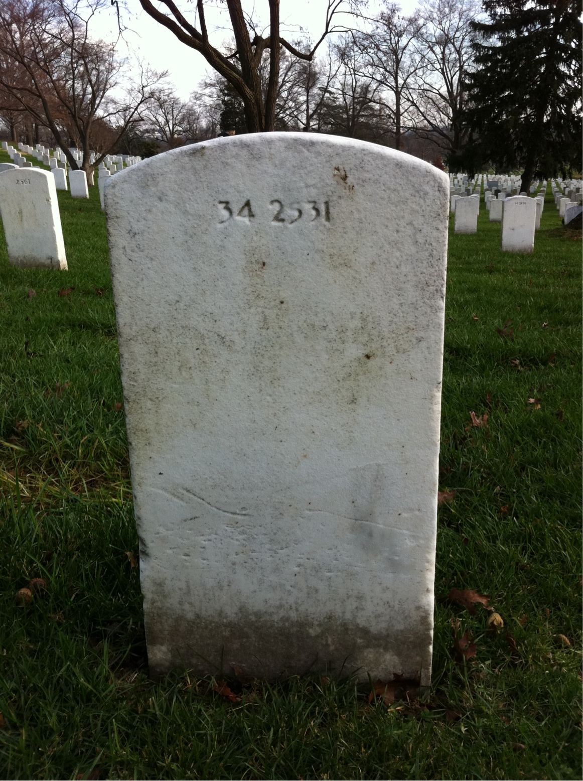 Back of headstone — William F Schmidt