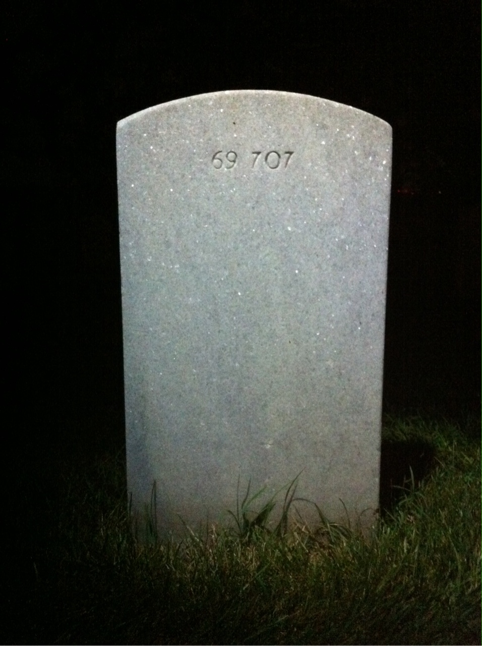 Back of headstone — William Aljinovich