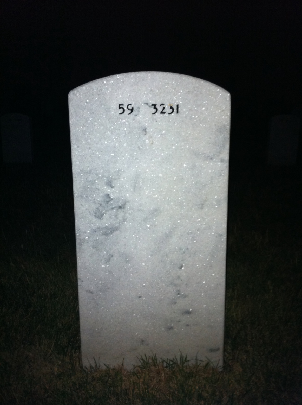 Back of headstone — Dana Newbegin