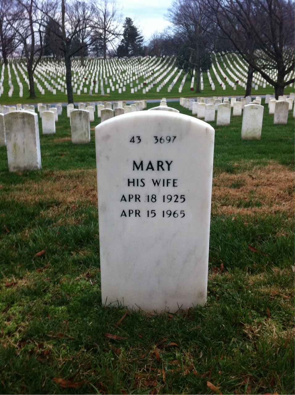 Back of headstone — James Johnson