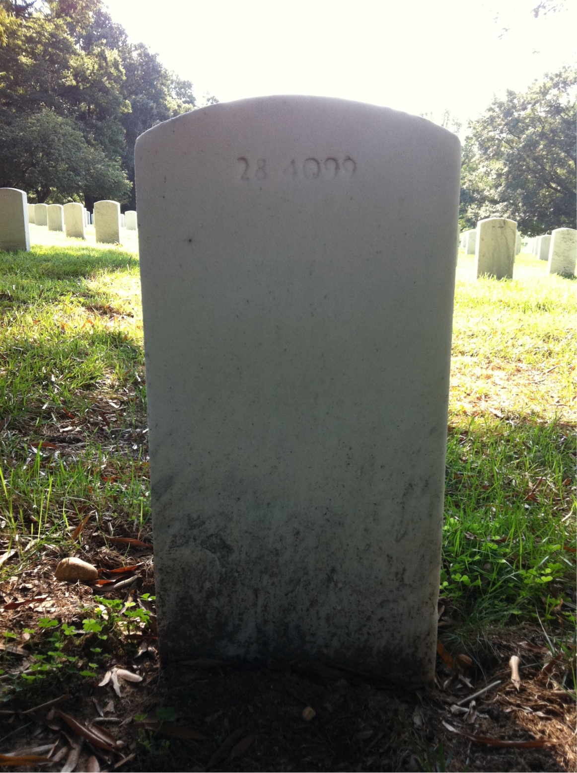 Back of headstone — Clarence Arnold