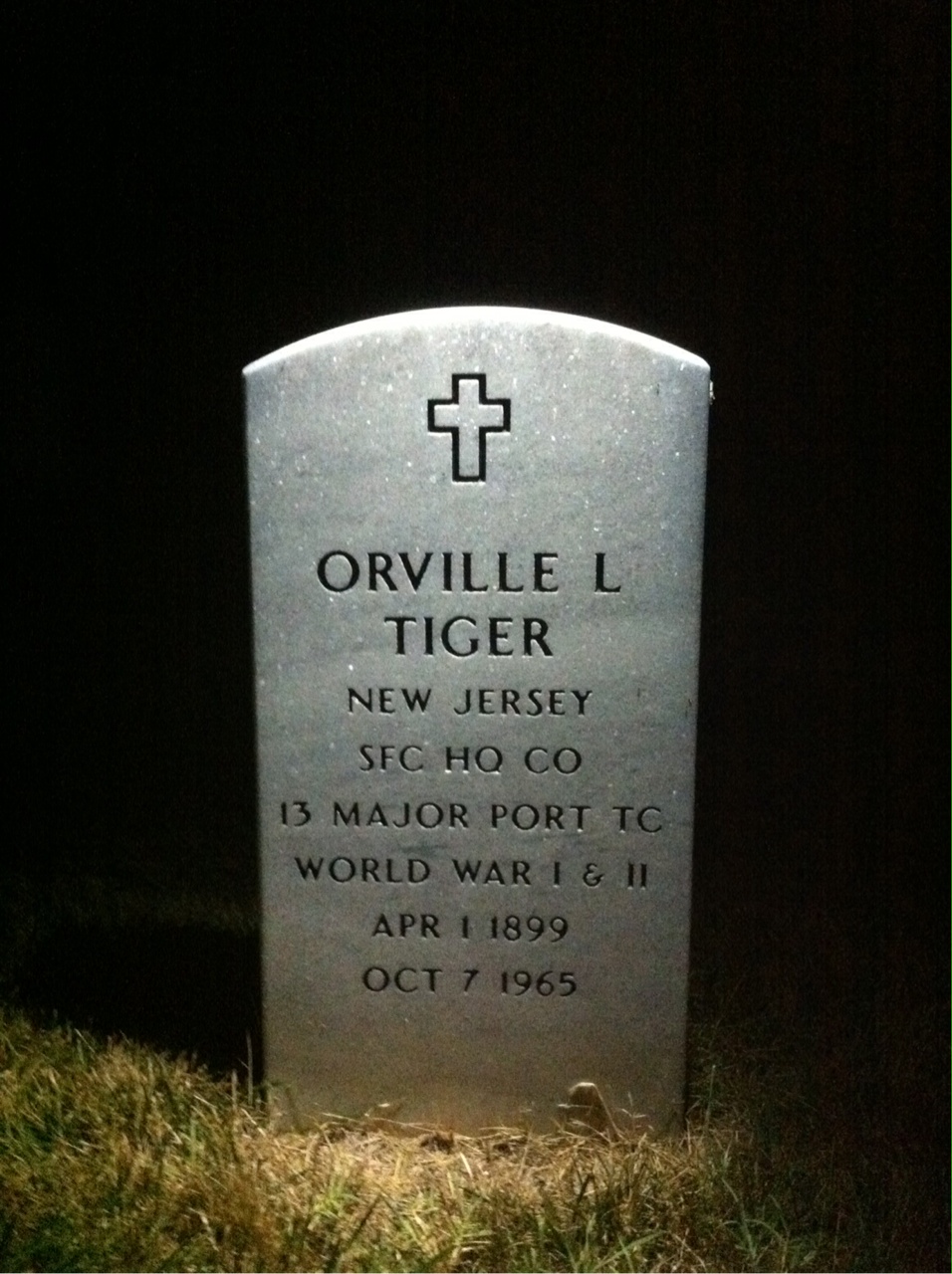 Orville Tiger