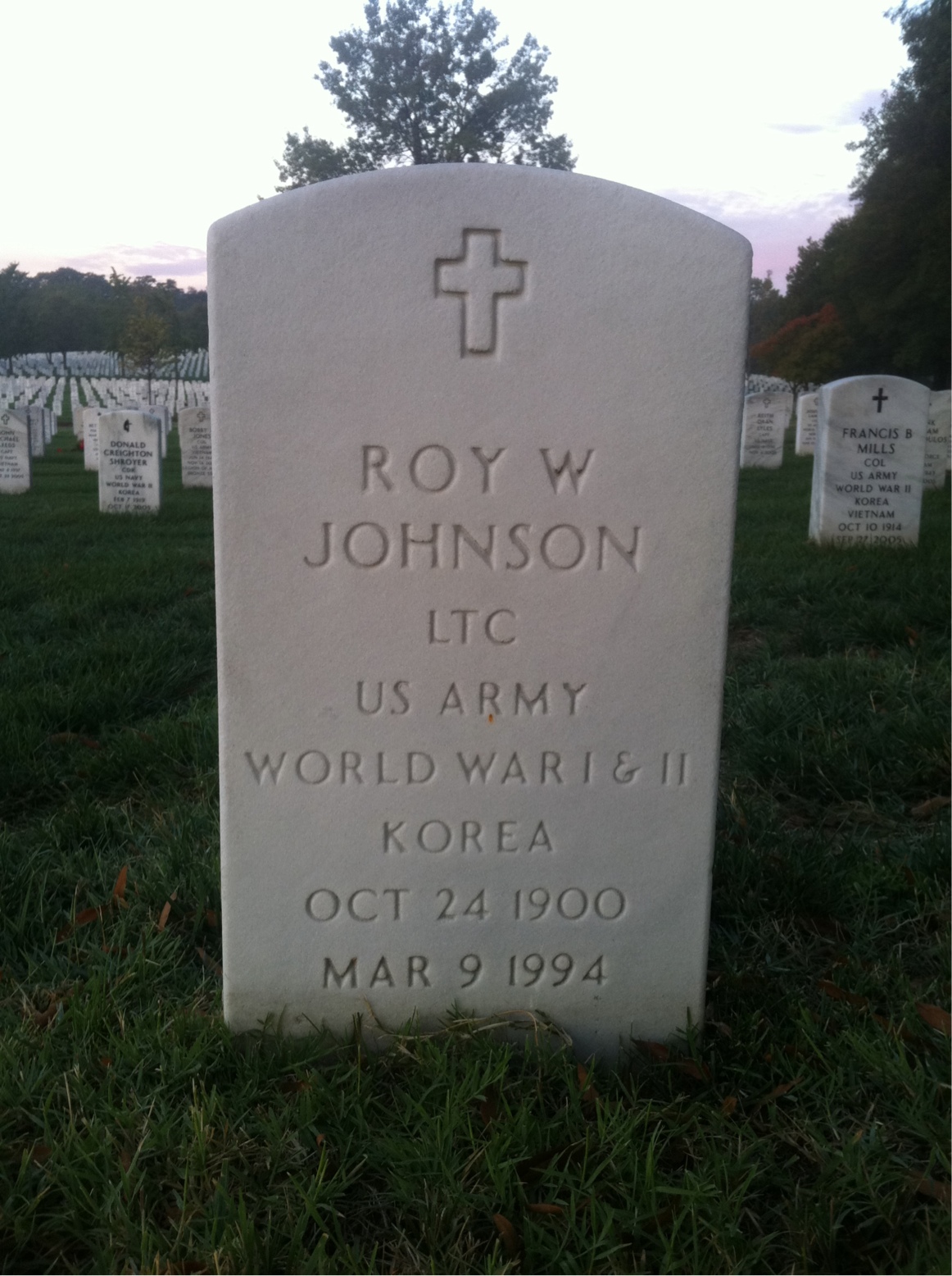 Roy W Johnson