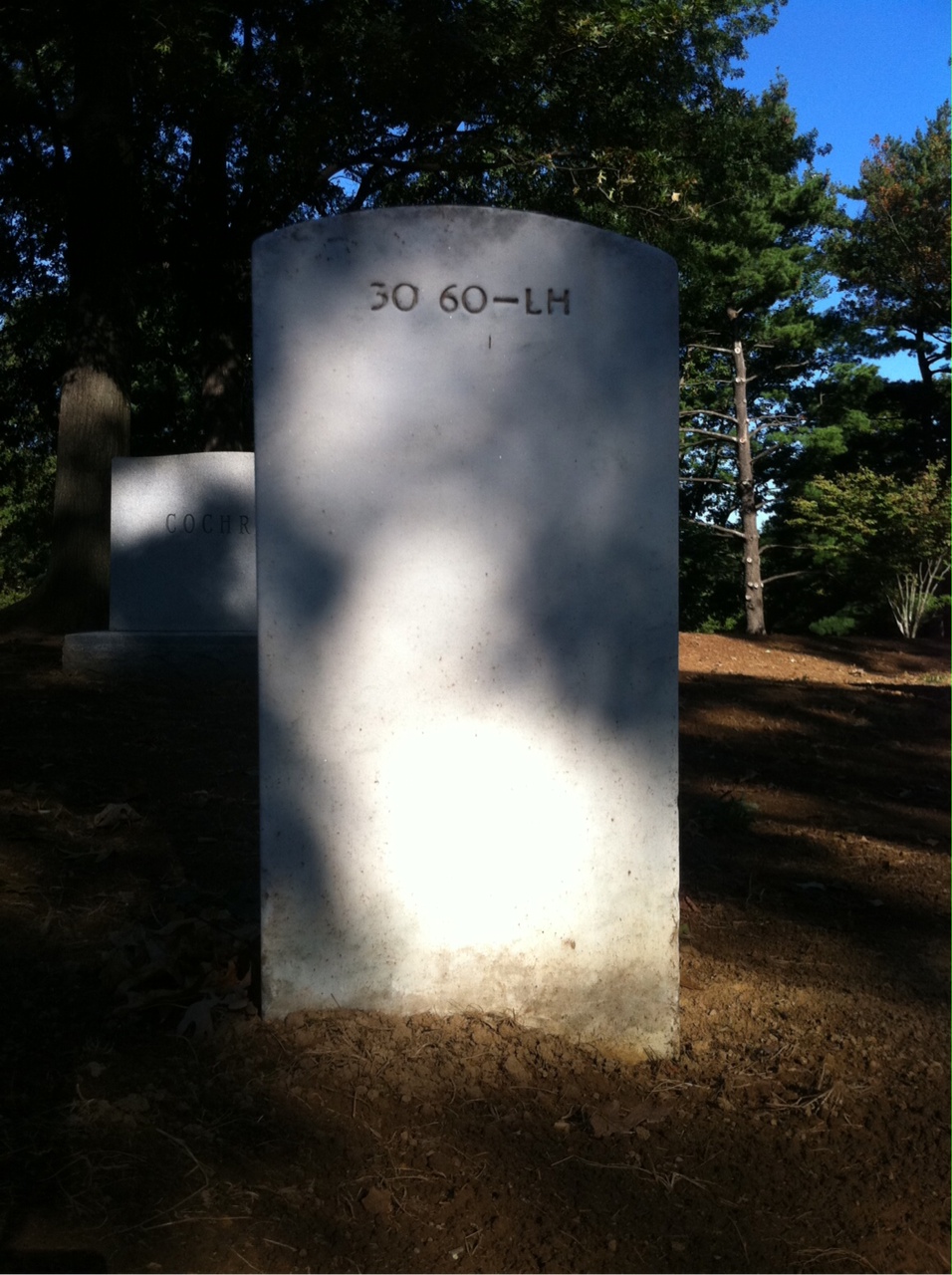Back of headstone — Rena Murray