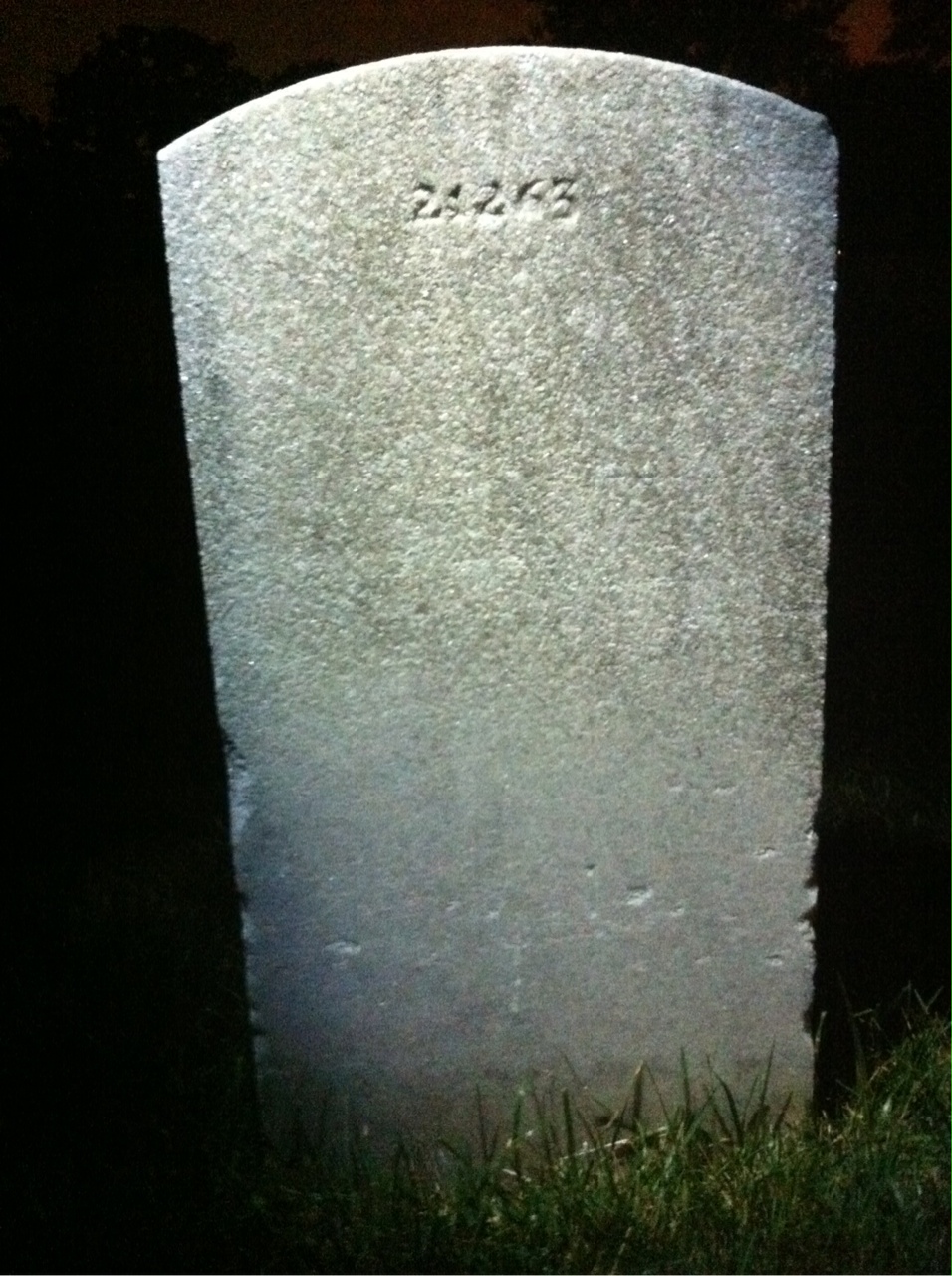 Back of headstone — Carver Alvis