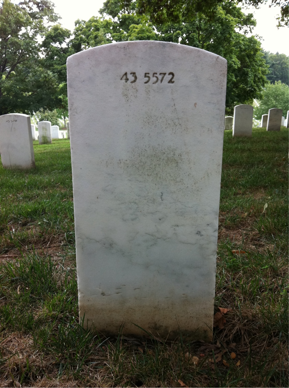 Back of headstone — Frank Cox