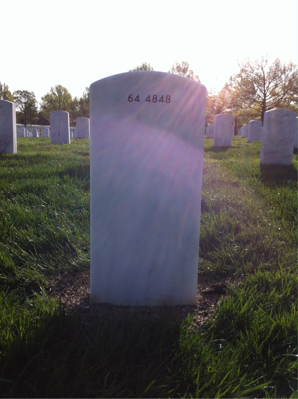 Back of headstone — William Lewis Johnson