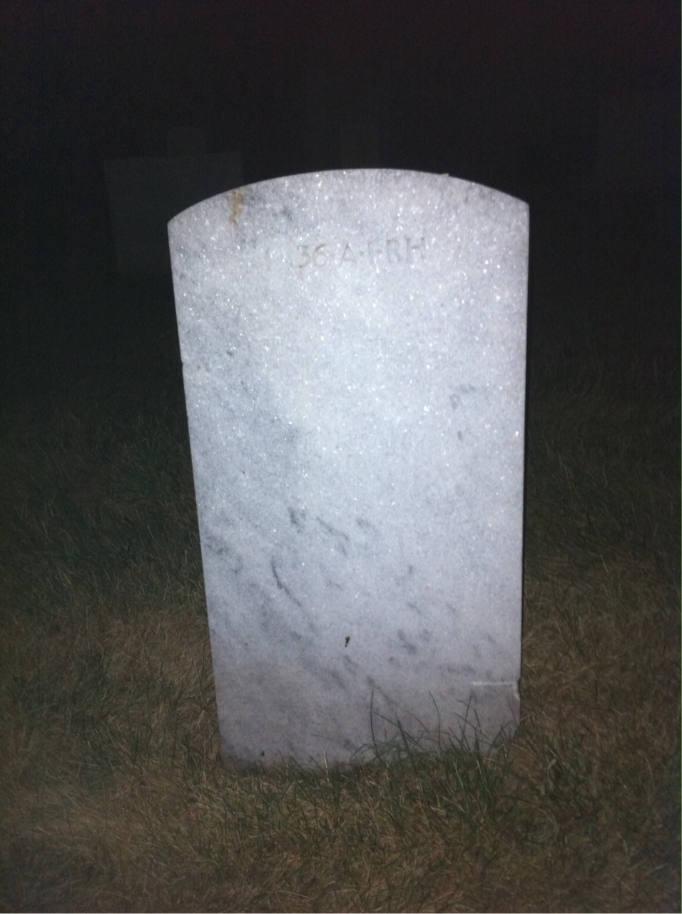 Back of headstone — Thomas Wayne Robison