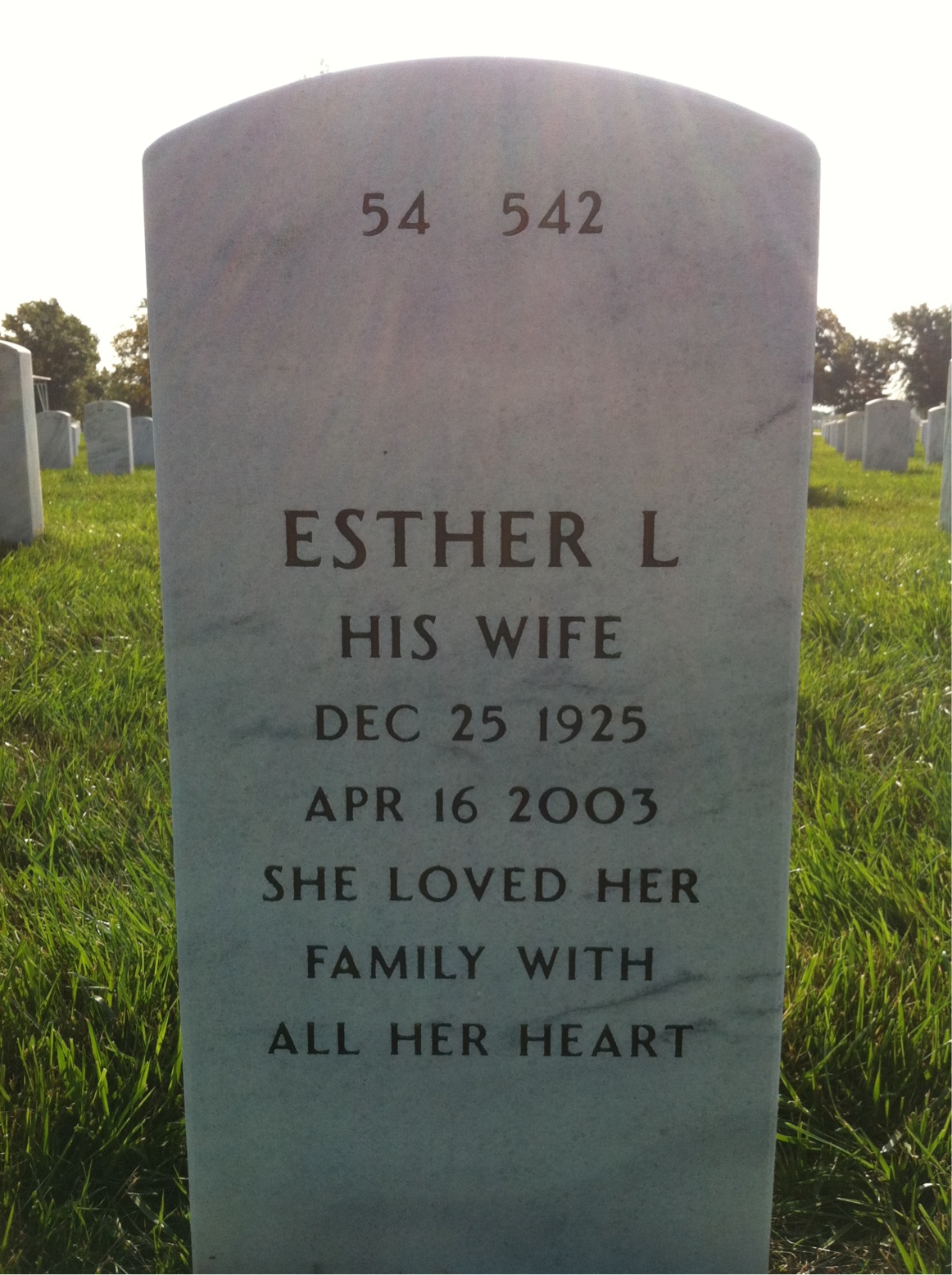Back of headstone — James Riley