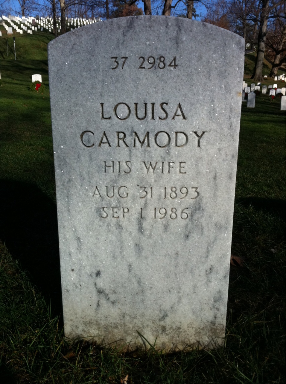 Back of headstone — Louis Alberti
