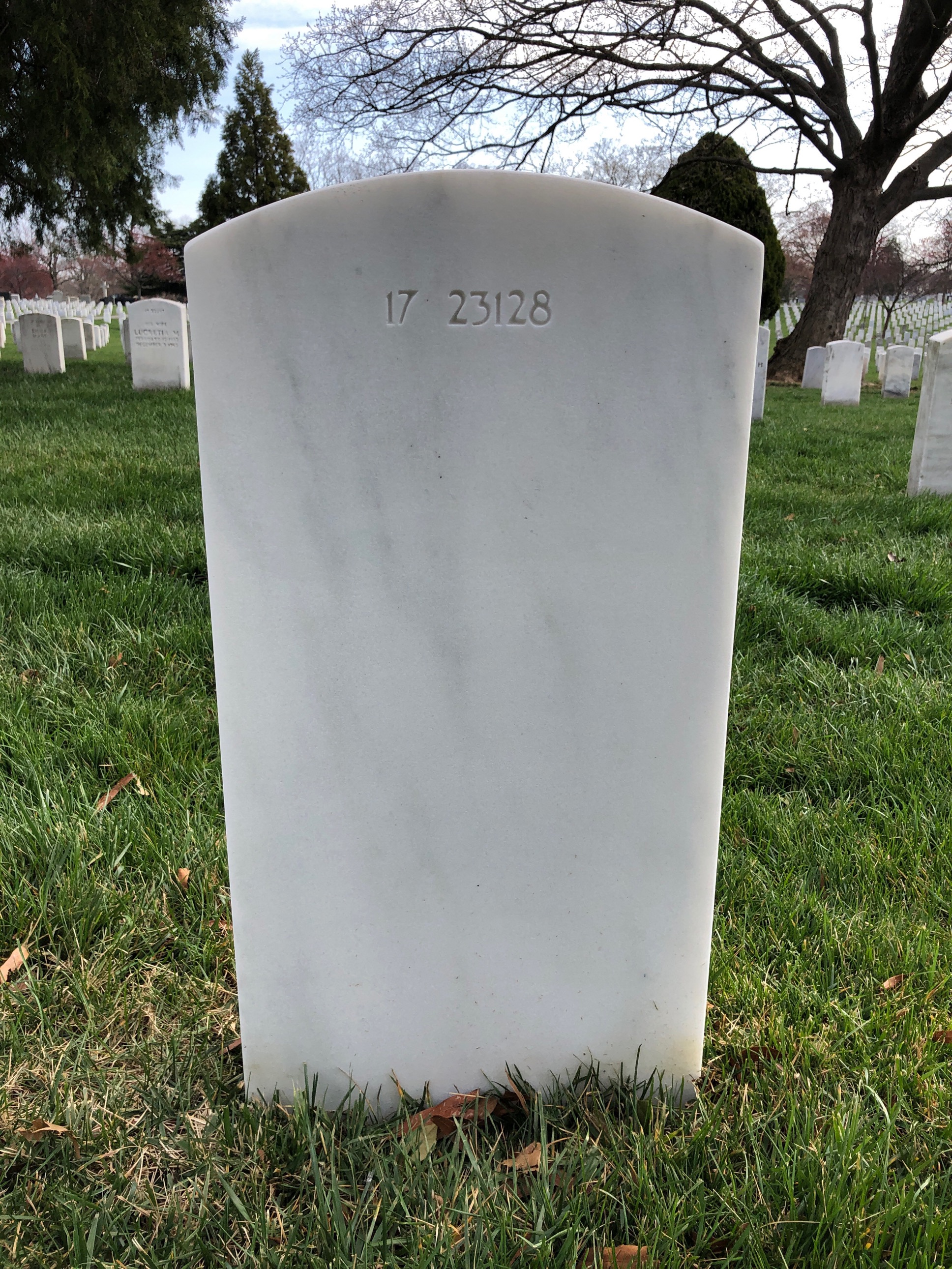 Back of headstone — Irving Bache