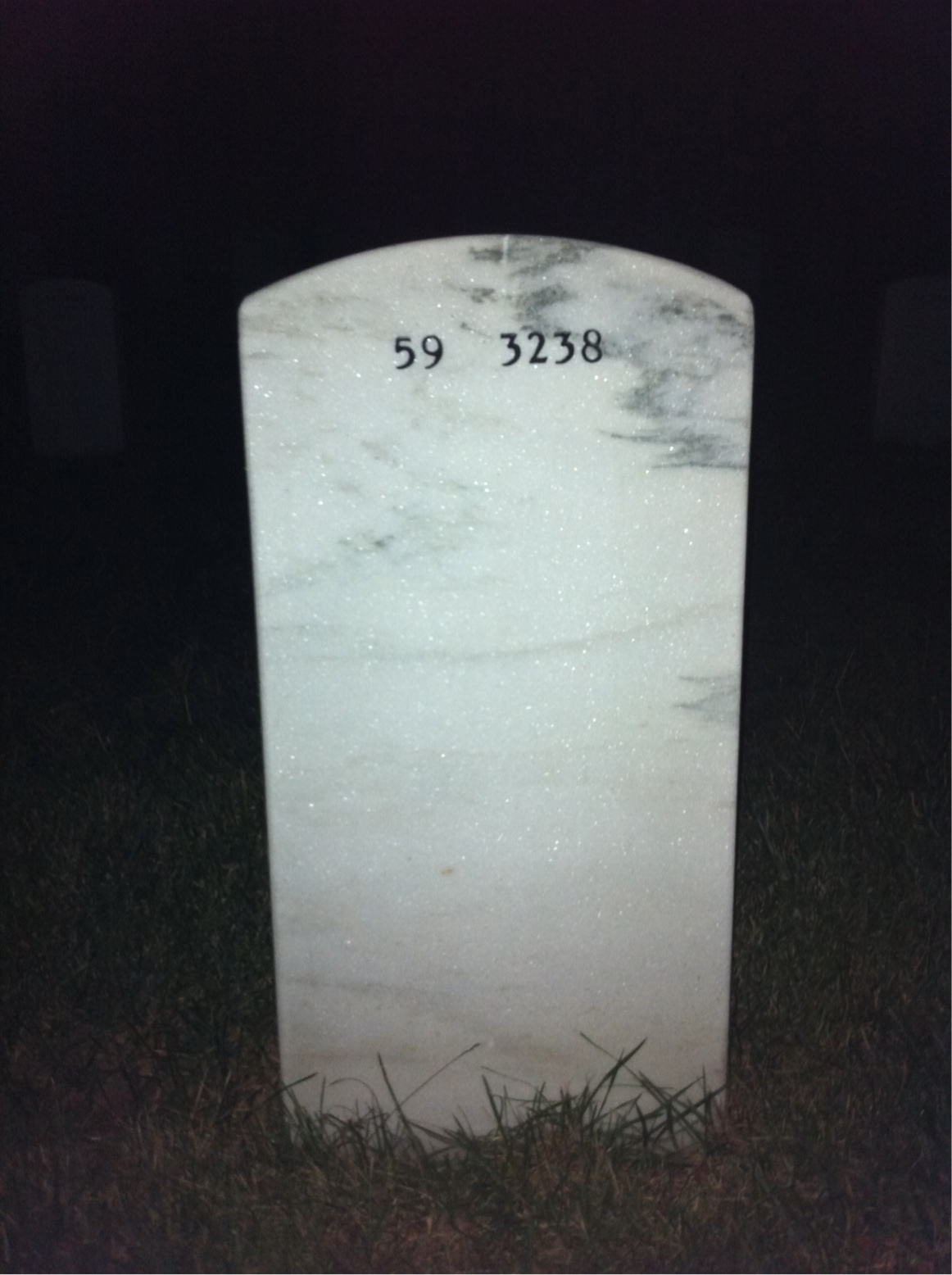 Back of headstone — Julius Mann