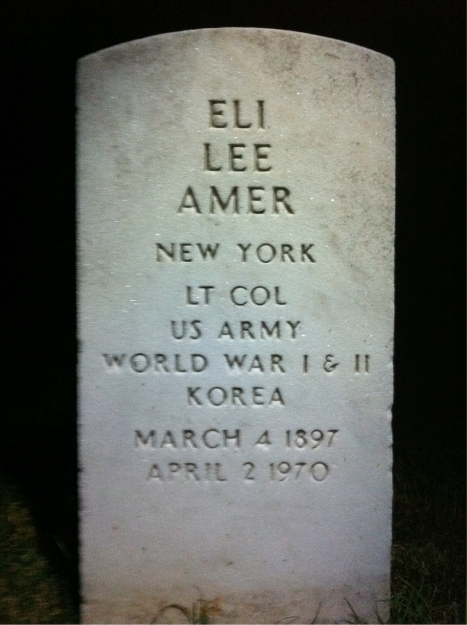 Ann Amer