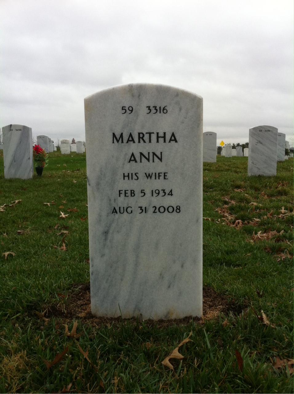 Back of headstone — Leonard Scheg