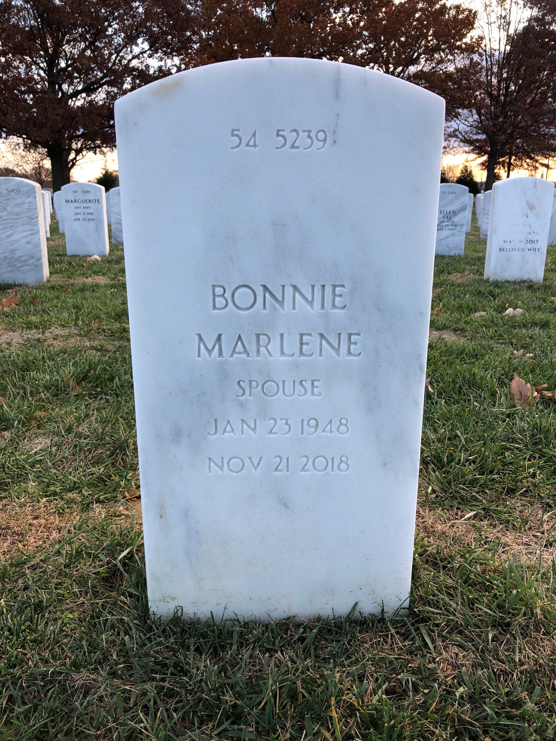Back of headstone — Joseph Saltzman