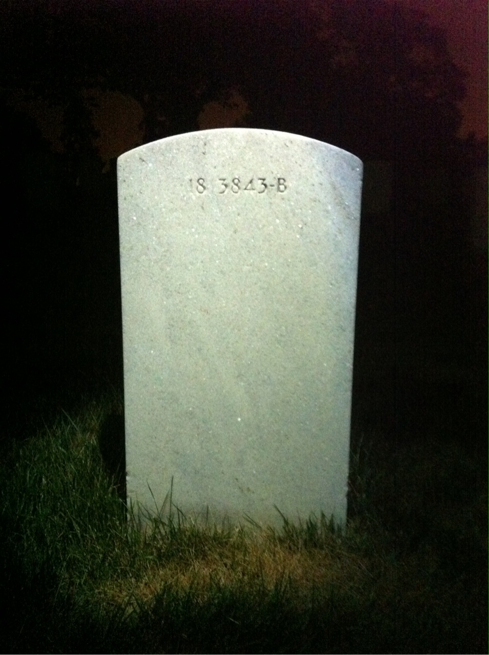 Back of headstone — Steve Molnar