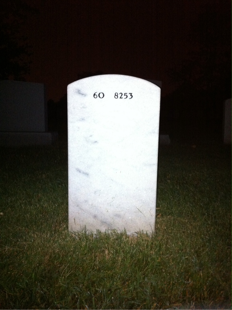 Back of headstone — Albert Hodges