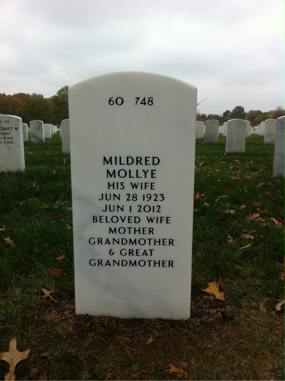 Back of headstone — William Shulman