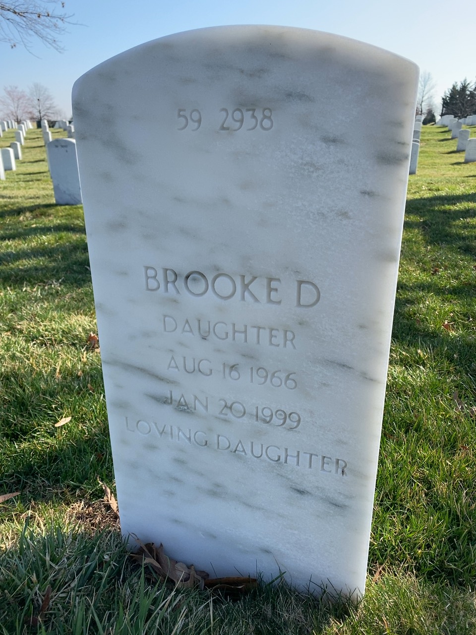 Back of headstone — Alain F Goldsticker
