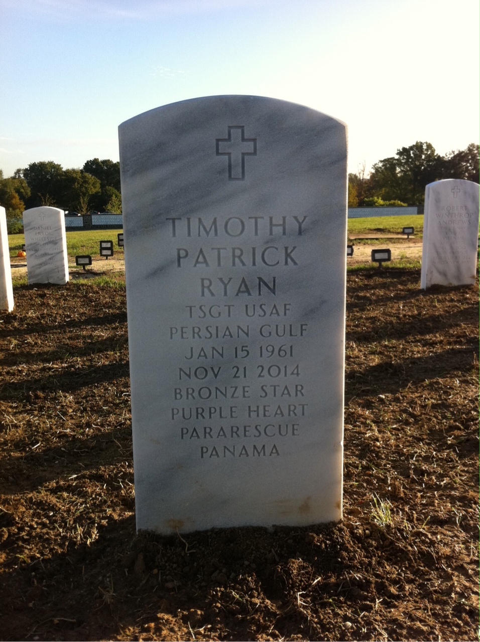 Timothy P Ryan