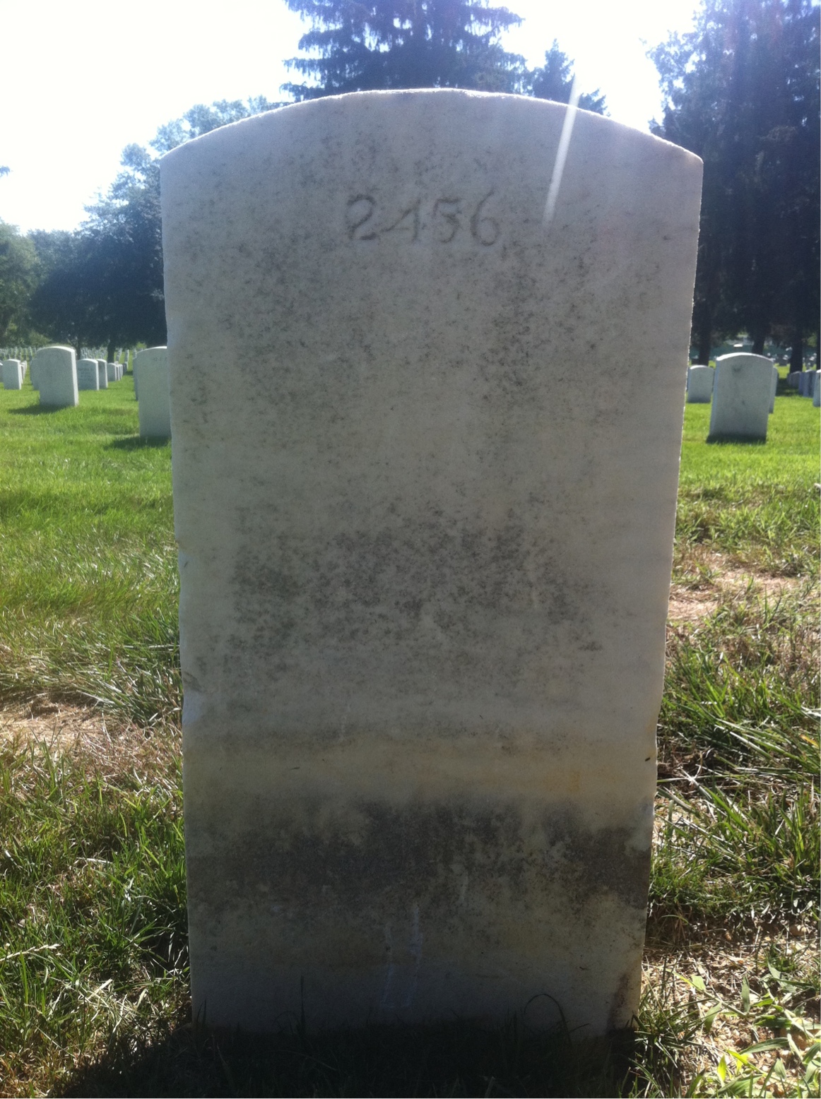 Back of headstone — Hollis Bradford