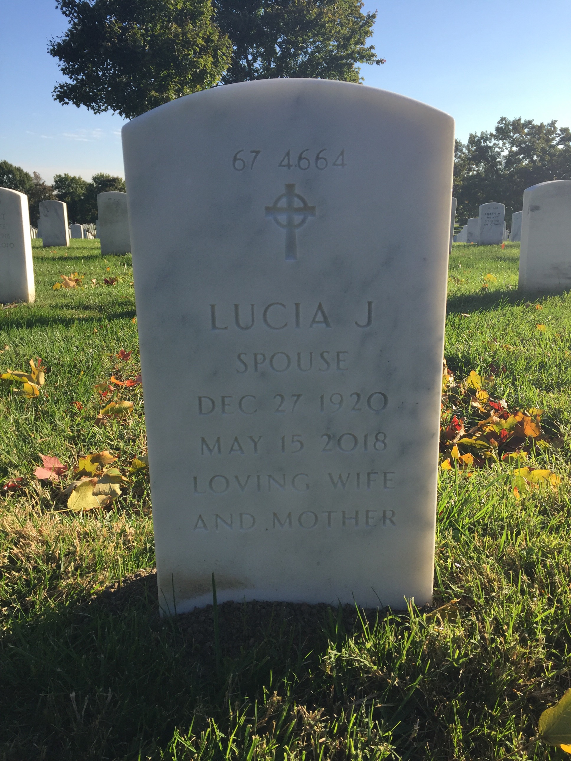 Back of headstone — Delane Anderson