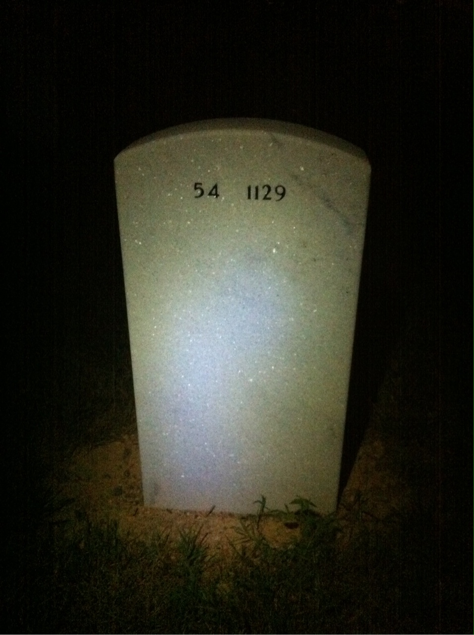 Back of headstone — Dominic Amendolair