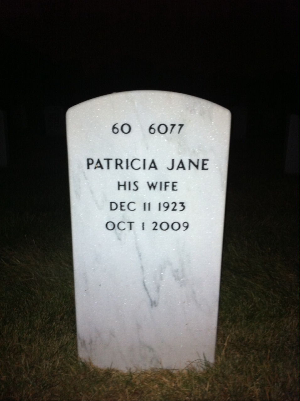 Back of headstone — William Mcmanus