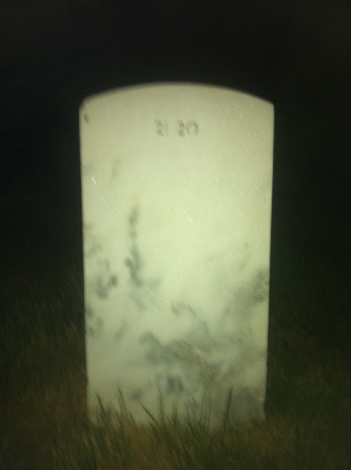 Back of headstone — Mary Mullino